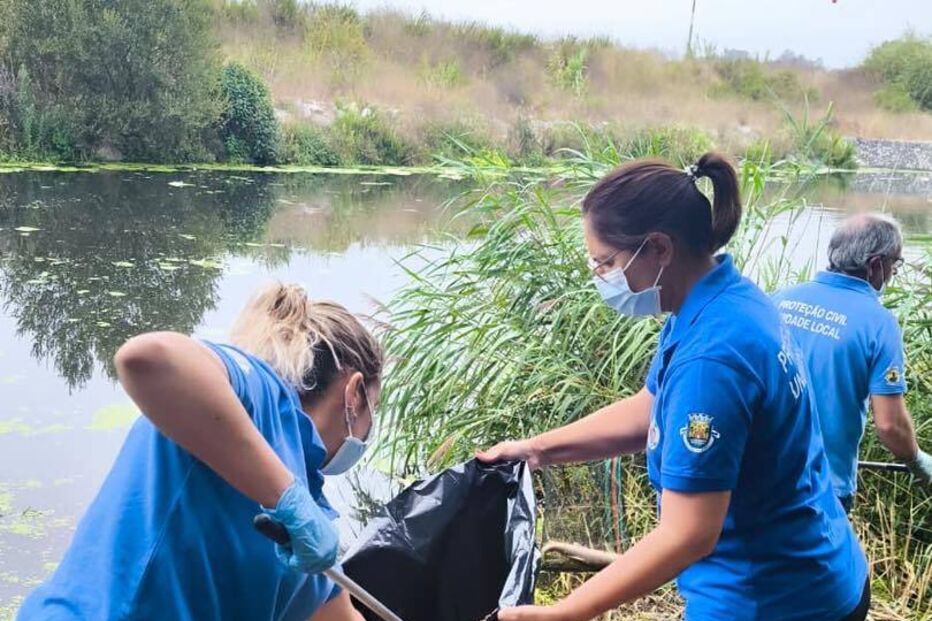 Voluntários e autarquias removem peixes mortos no rio Lis após descarga de efluentes