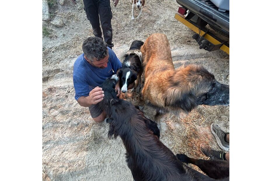 Raminhos lança campanha para ajudar Pedro, vítima dos incêndios em Oliveira do Hospital, com apoio de famosos
