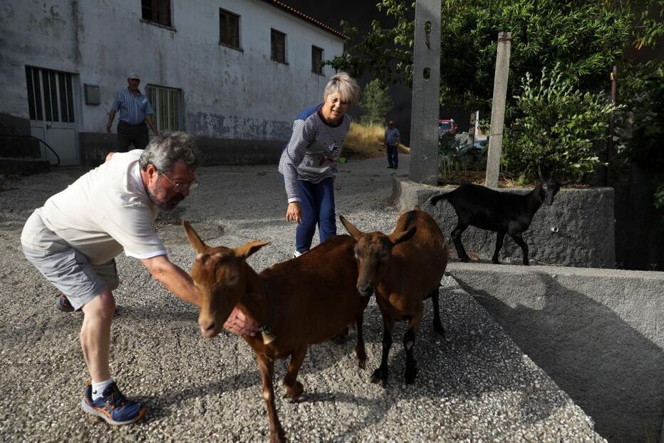 Aldeia das Meãs fustigada pelos incêndios