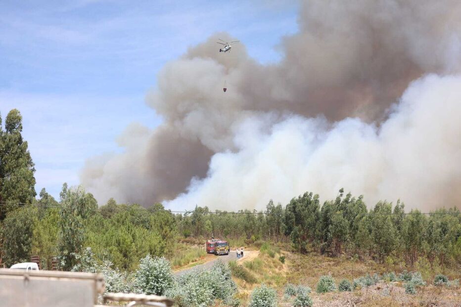 Incêndio em Arganil ameaça Pampilhosa da Serra