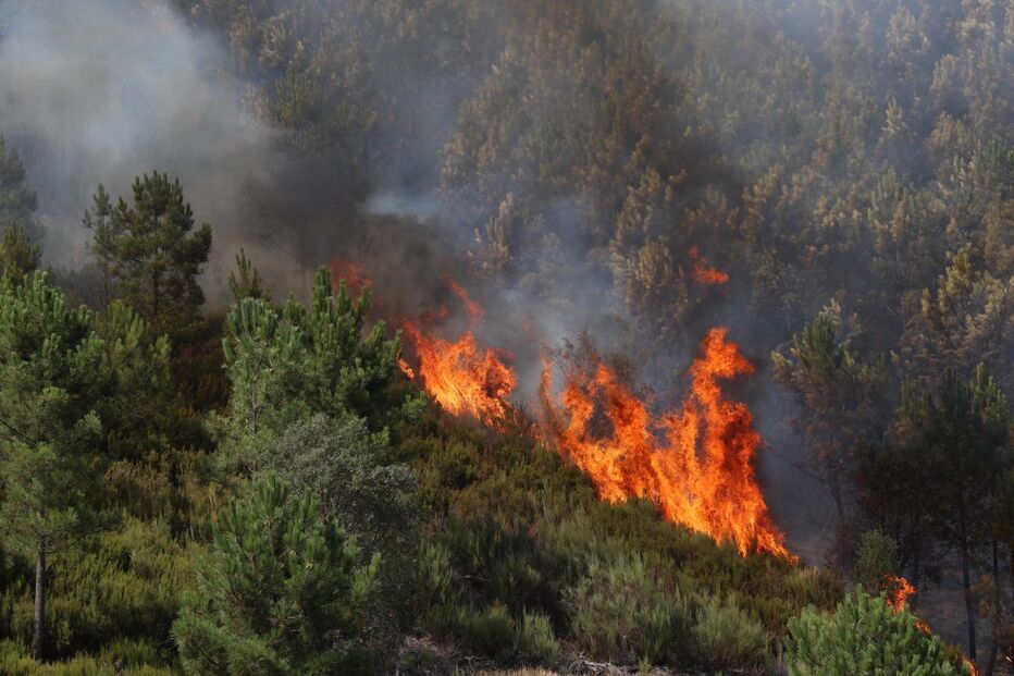 Fogo na Covilhã ameaça Unhais da Serra e outras localidades. Bombeiro morre em acidente