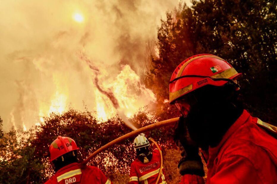 Incêndio que começou em Arganil e alastrou para o Fundão