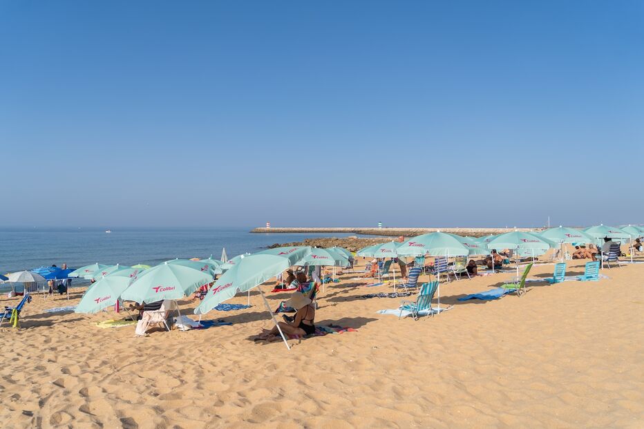 C-Studio colibri-105.jpg