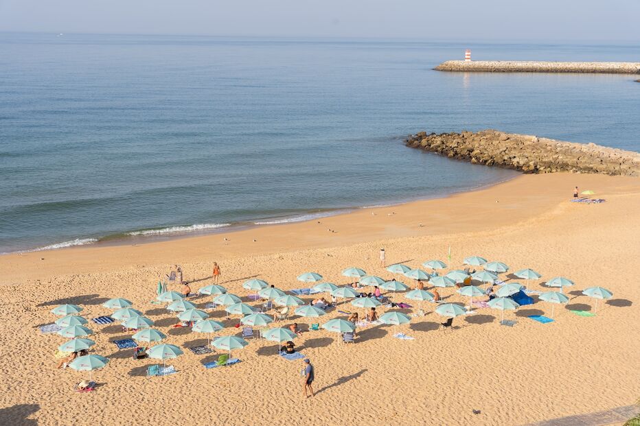 C-Studio colibri-115.jpg