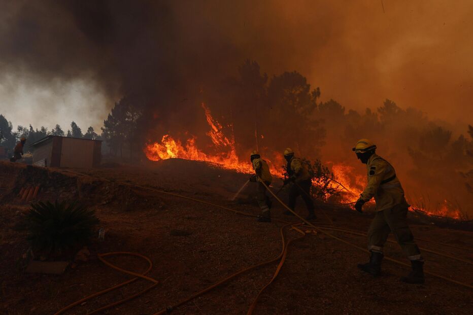 Bombeiros combatem incêndio florestal