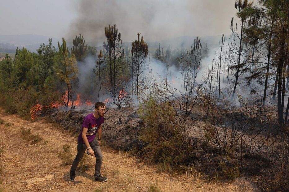 Voluntários combatem reacendimento de incêndio florestal em Fundão