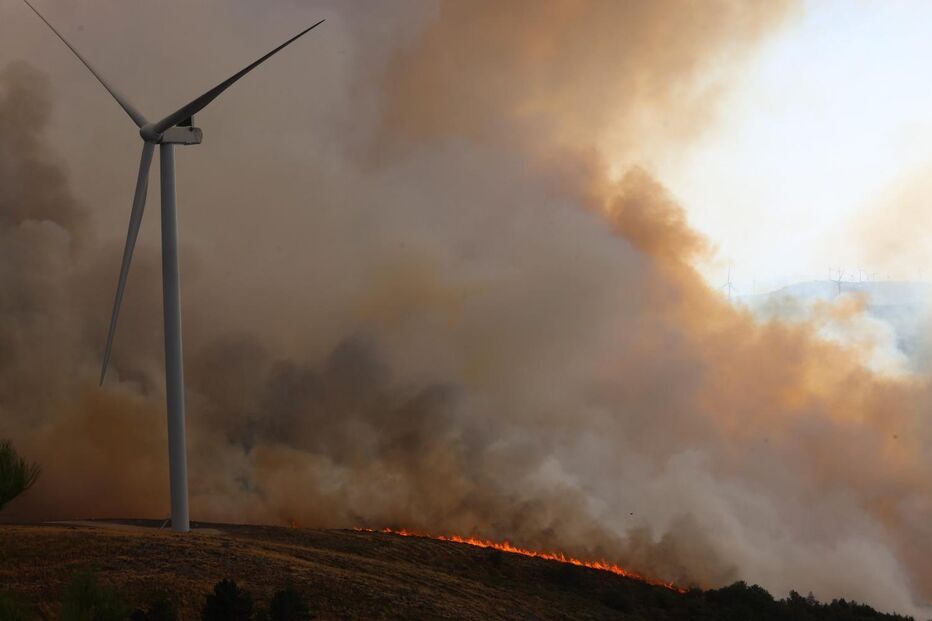 Incêndios causam danos ambientais, sociais e económicos na Serra da Lousã