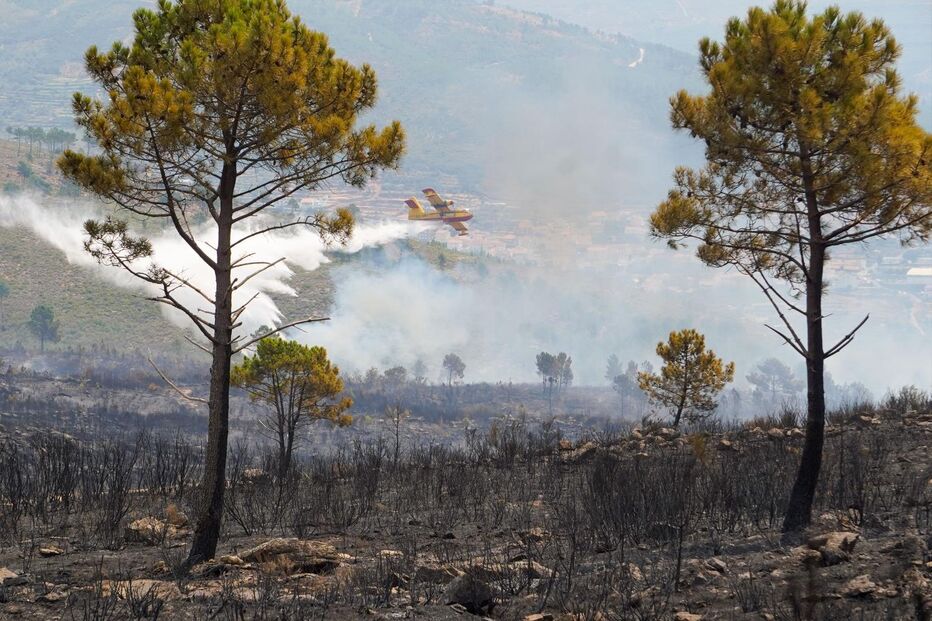 Combate a incêndio na Serra da Estrela com meios aéreos