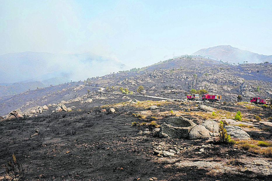 Área ardida na serra da Estrela é enorme