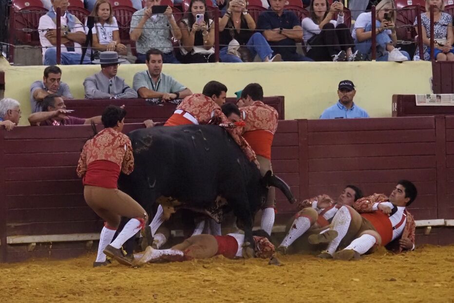 Forcado Manuel Trindade gravemente ferido durante pega na Praça de Touros do Campo Pequeno