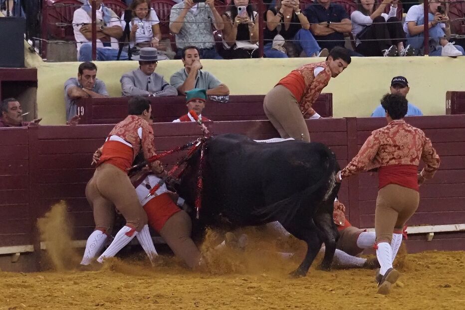 Forcado Manuel Trindade gravemente ferido durante pega na Praça de Touros do Campo Pequeno