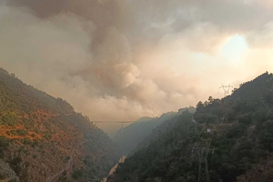 Incêndios em Pedrógão Grande obrigam à evacuação de aldeias e atingem Sertã