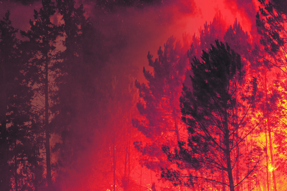 Bombeiros e populares lutaram contra paredes de fogo