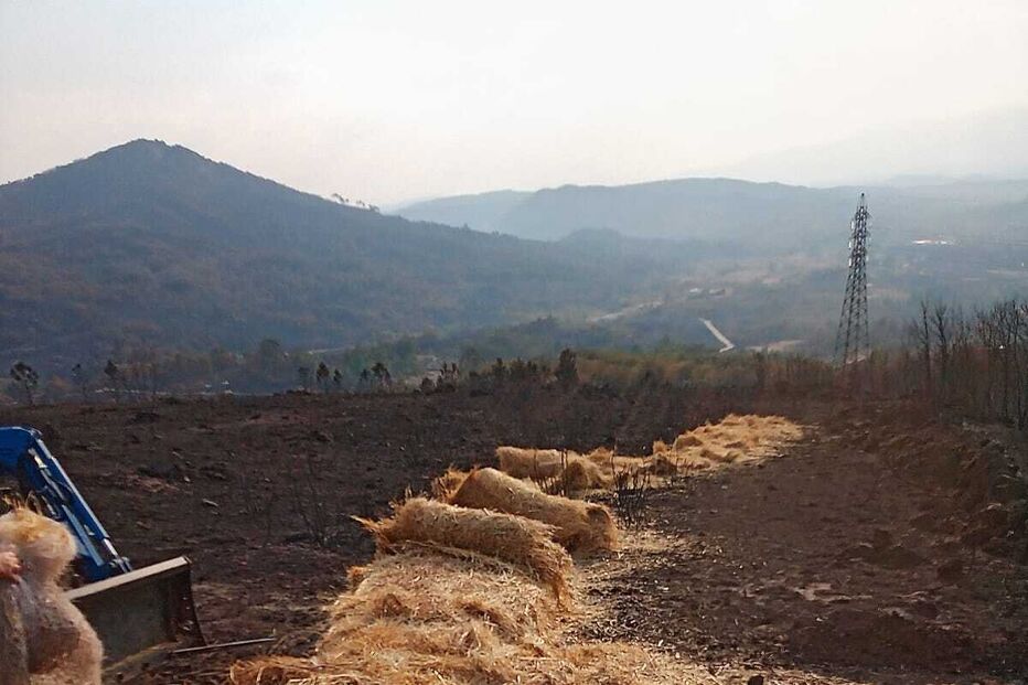 Apoio de emergência do Clube Português de Monteiros alimenta animais em zonas de caça afetadas pelos incêndios na Lousã e Estrela