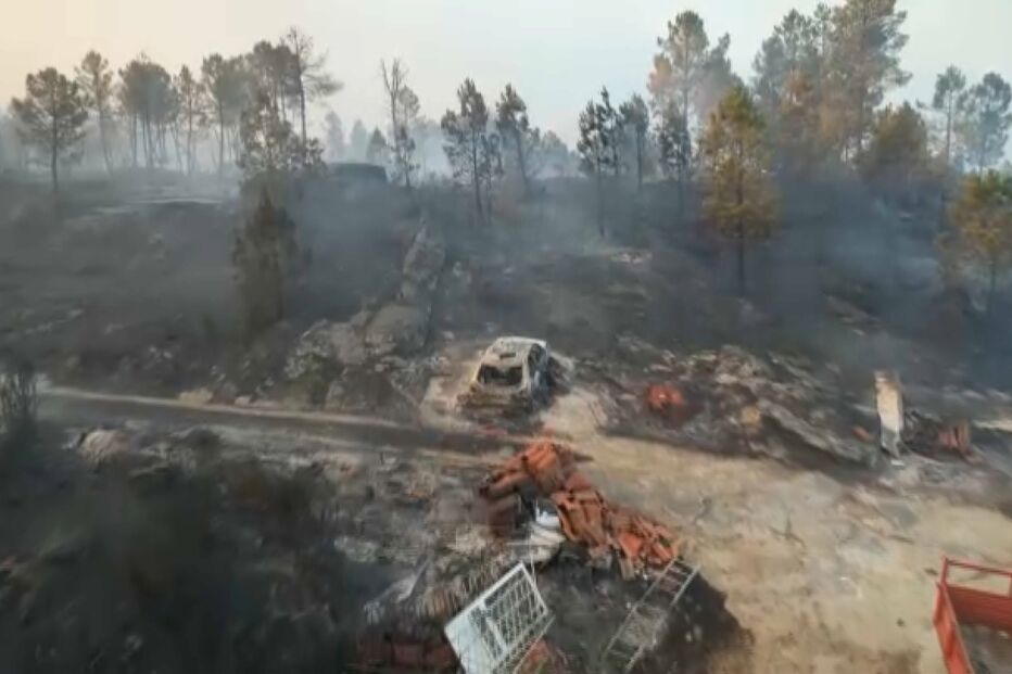 Incêndios florestais em Portugal provocam destruição e devastação ambiental
