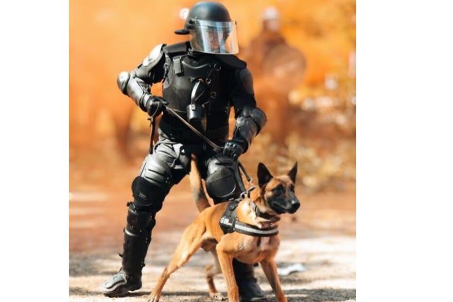 Agente da GNR equipado com cão treinado para operações de segurança e manutenção da ordem pública