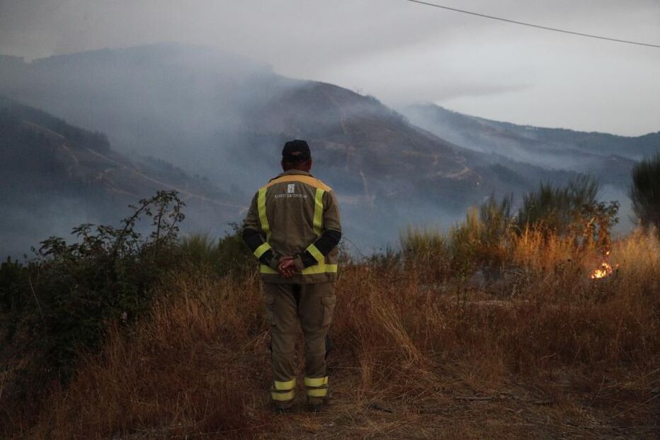 Incêndios deste verão arrasaram mais de 350 mil hectares de floresta em Espanha