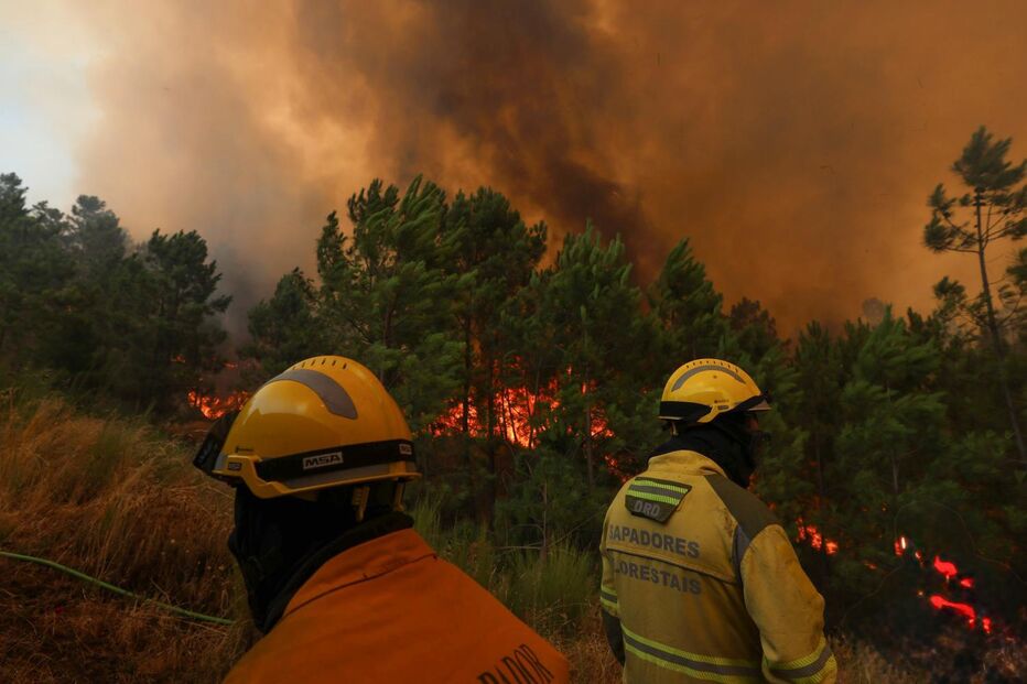 Associações querem valorização da carreira de sapadores florestais, face ao risco da profissão