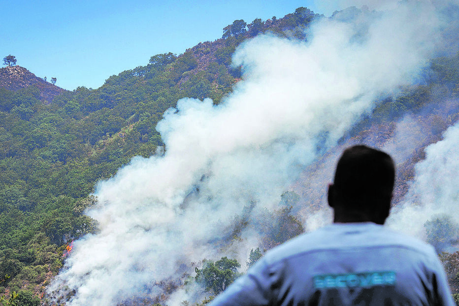 Suspeito ateou cerca de duas dezenas de fogos no concelho de Ponte da Barca