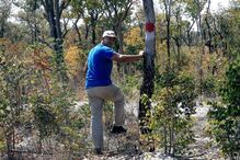 Angola enfrenta o desafio das minas terrestres 23 anos após o fim da guerra civil