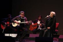 Tim celebra 50 anos de carreira com concertos no Teatro S. Luiz, em Lisboa