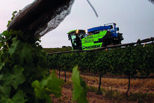 A vindima na Mingorra é ajustada para coincidir com as horas mais frescas