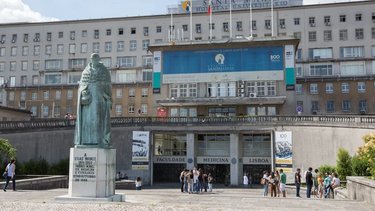 Idosa agredida pelo companheiro com um martelo em Lisboa 