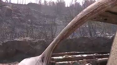 Fogos em Oliveira do Hospital dominado