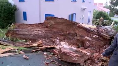 Dezenas de ocorrências registadas em todo o Arquipélago dos Açores. Três pessoas desalojadas na ilha do Faial