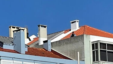 Bombeiros usam drone para procurar homem em telhados na Damaia