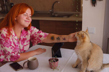 Beber um café enquanto faz festinhas a um gato? Conheça estes 2 "cat cafés"
