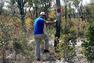 Angola enfrenta o desafio das minas terrestres 23 anos após o fim da guerra civil