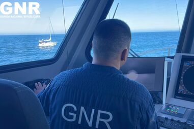 Veleiro atacado por orcas na Costa da Caparica