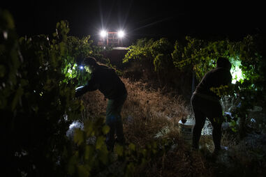 Vila de Frades - 57261731