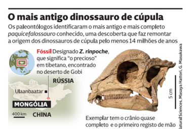Dinossauro com ‘capacete’ intriga cientistas