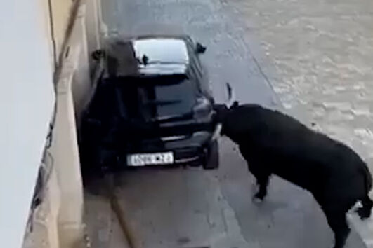 Vídeo mostra touro enraivecido a destruir carro em garraiada espanhola