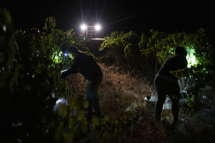 Vila de Frades - 57261731