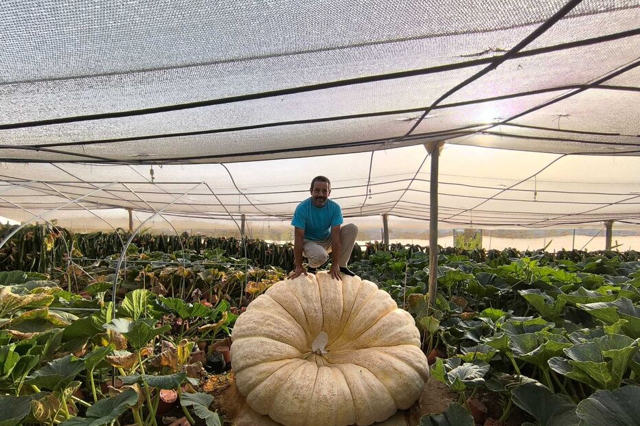 Agricultor algarvio bateu o próprio recorde nacional