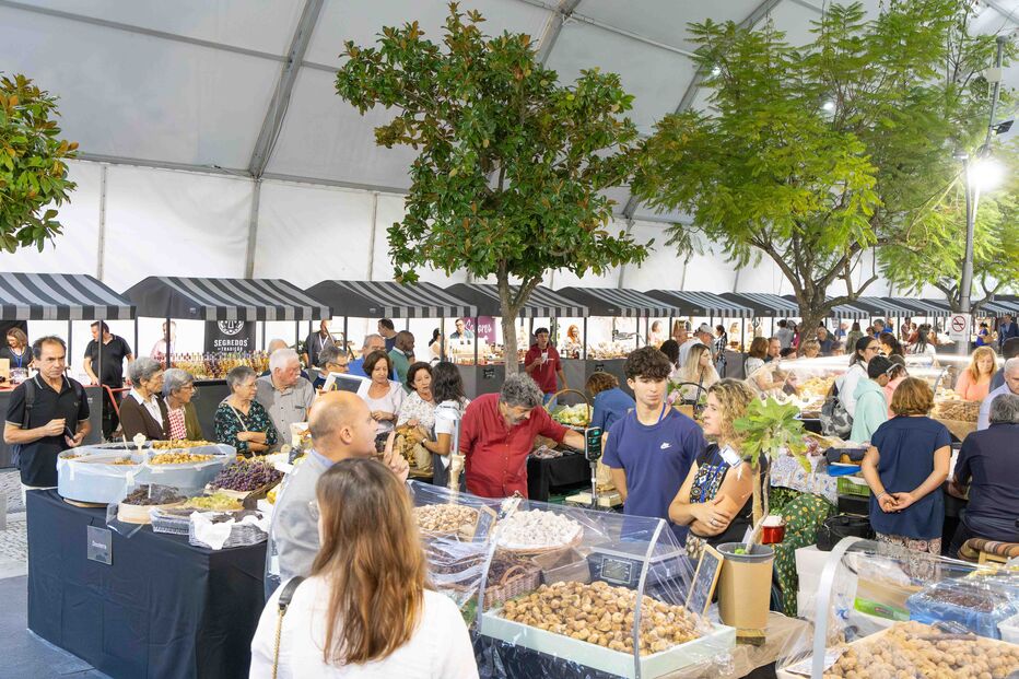 Feira Nacional dos Frutos Secos atrai visitantes e produtores