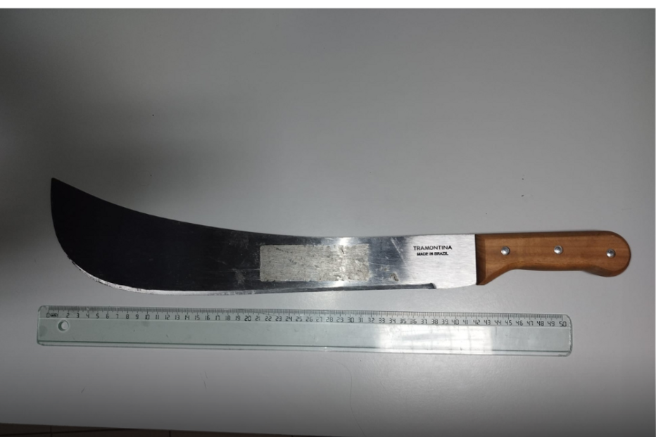 Catana foi apreendida pela PSP