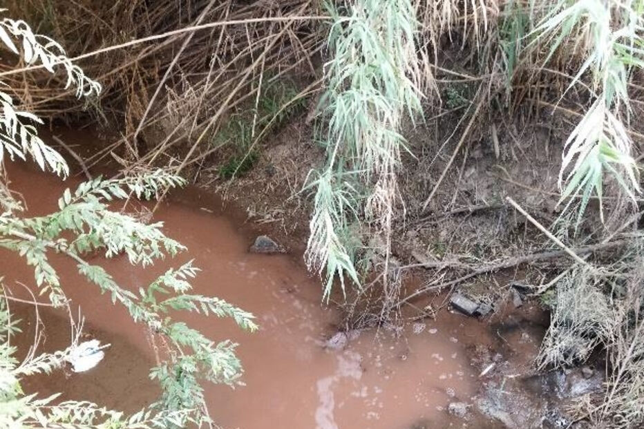 Poluição atinge afluente do rio Tejo, em área onde estão instaladas empresas do tomate