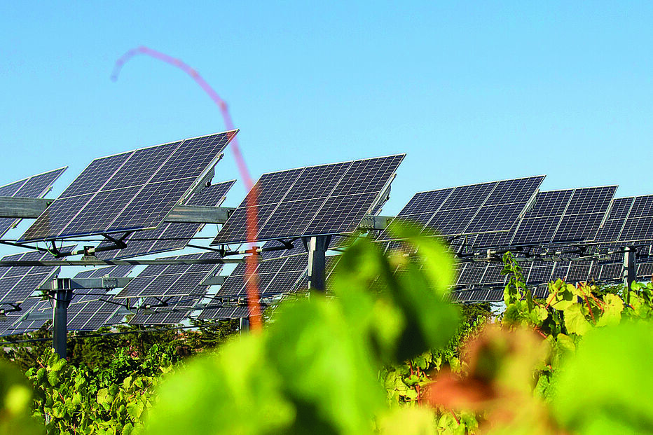 Instituto superior de agronomia. Painéis fotovoltaicos 