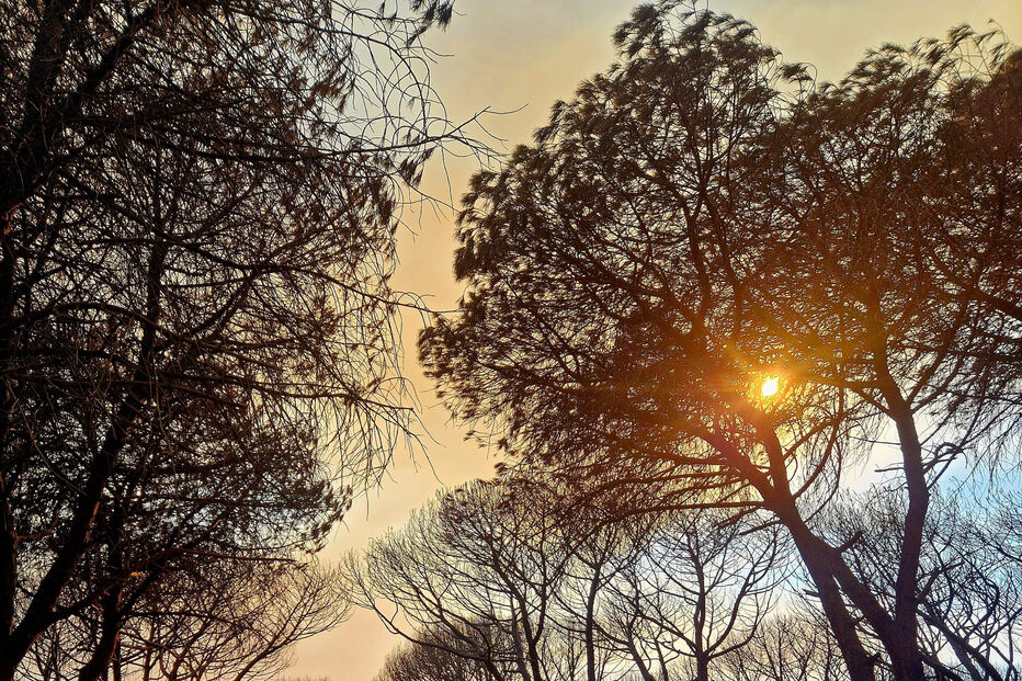 Área ardida no fogo de Aljezur e Lagos ultrapassa os 2.000 hectares