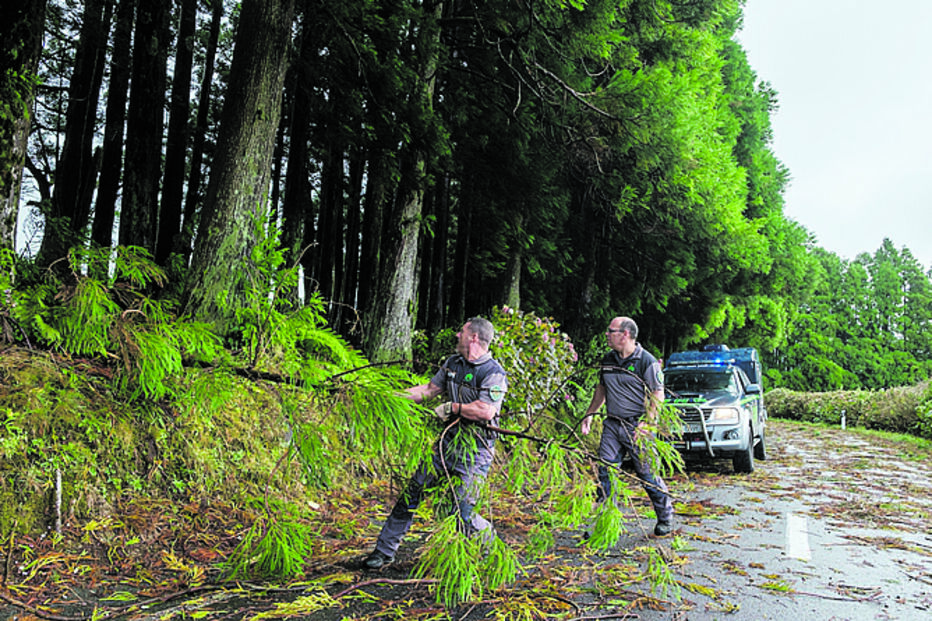Furacão perdeu intensidade e atingiu os Açores como depressão, derrubando dezenas de árvores