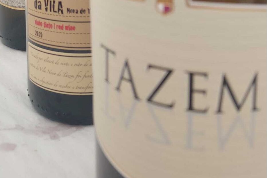 Vinhos da Adega da Vila e o tinto Pedradapa em prova
