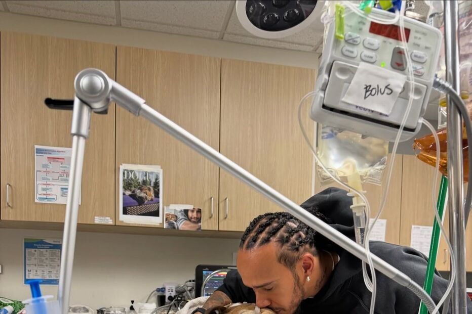 Imagem hamilton 57434200.jpg (26208461) (Milenium)