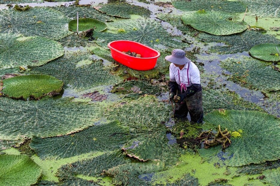 Ex-ministro chinês condenado por corrupção e subornos recebidos entre 2007 e 2024