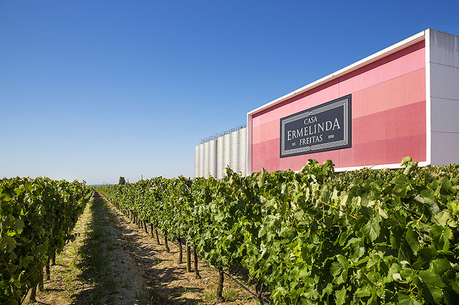 Empresa tem critérios sustentáveis de produção e gestão.