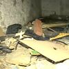 <![CDATA[ "Passou fome e rezava para eu o salvar": mãe diz que criança que viveu em casa abandonada em Famalicão tinha pena do pai ]]>