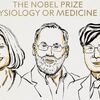 <![CDATA[ Nobel da Medicina atribuído a Mary E. Brunkow, Fred Ramsdell e Shimon Sakaguchi ]]>